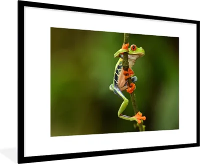 Produktbild von MuchoWow® MuchoWow® Gerahmtes Poster Rotaugenlaubfrosch im Dschungel 90x60 cm - Poster mit zchwarzem Bilderrahmen - Wanddekoration - Fotos