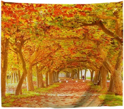 Productafbeelding van Wandkleed - Wandtapijt Muurdecoratie - Wanddecoratie - Hoge resolutie print - 180 x 200 cm - Herfstkleuren