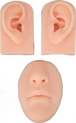 Obrázok produktu pre Zobrazenie modelu nosa a úst, model ucha na piercing, mäkká silikónová simulácia pre začiatočníkov v piercingovom salóne (svetlá farba pleti)