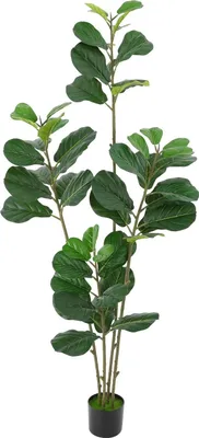 Produktbild von Künstliche Geigenfeige - Baum 180 cm - Ficus lyrata - Für Außen- & Innenbereich - Pflegeleicht, immergrün - PE-Blätter, Eisenstamm, Zementfuß - Mit schwarzem Topf - Grün