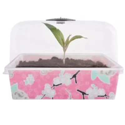 Produktbild von Pflanztopf, Blumenkasten, Balkonkasten, Pflanzenkübel, UV beständig, In-Mould-Print ,Exklusives Design ,27x17x15 cm 1 Stck. in rose Inkl Deckel ,von Jet-Line