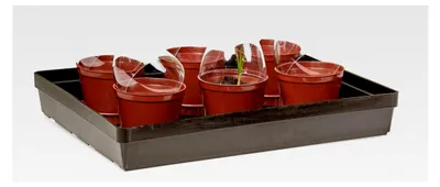 Produktbild von Anzuchttopf Set mit Aufbewahrungsbox, Kunststoff, Braun