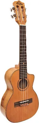 Produktbild von Leho LHUC-CMF-CE-TB mit Gig Bag