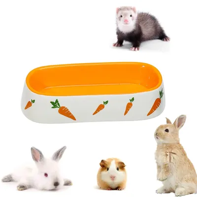 Immagine prodotto di Omgoods - Ciotola per cibo in Vetroceramica per piccoli animali