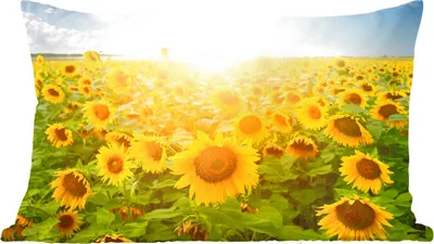 Produktbild von MuchoWow® Zierkissen Sofakissen Wohnzimmer Dekokissen 50x30 cm Sonnenblume - Sonne - Wolken - Wohnzimmerdekoration - Polster mit Photo