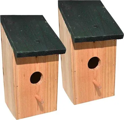 Image de Petite cabane en bois pour oiseaux