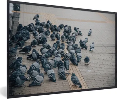 Produktbild von MuchoWow® Gerahmtes Poster Eine große Gruppe von Tauben auf der Straße 30x20 cm - Poster mit Schwarzem Bilderrahmen Wandposter Rahmen Foto Bilder - Kunstdruck - Bild-Poster