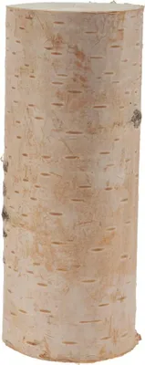 Image de Troncs de bouleau pour bricolage Déco en 8 x 20 cm