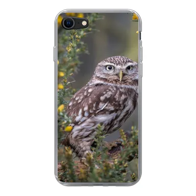 Produktbild von MuchoWow® Handyhülle Schutzhülle Hülle für iPhone SE 2020 Eine kleine braune Eule sitzt da und starrt nach vorne Silikon Softcase Handy Hülle - Kartenbesitzer