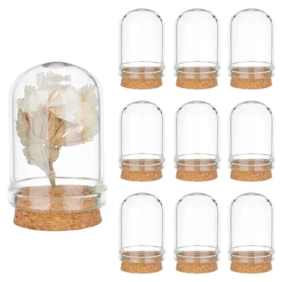 Glaskuppel mit Korkbasis, 10 Stück, 2,2 x 3,6 cm, Mini Vitrine