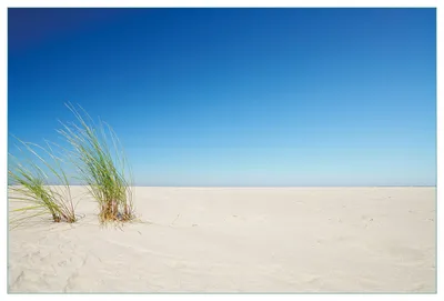 Produktbild von Wallario Küchenrückwand aus Glas, Größe: 90 x 60 cm, Motiv: Sandstrand unter blauem Himmel | Spritzschutz | abwischbar | pflegeleicht | in