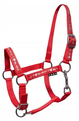 Produktbild von Start ILoveMyMini Halfter für Fohlen Rot