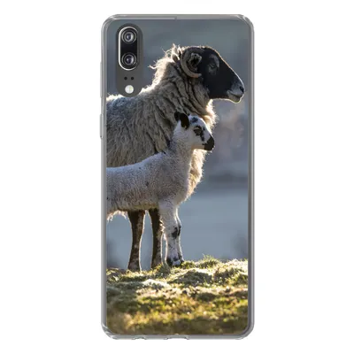 Produktbild von MuchoWow® Handyhülle Schutzhülle Hülle für Huawei P20 Schaf - Lamm - Sonne Silikon Softcase Handy Hülle - Hardcover