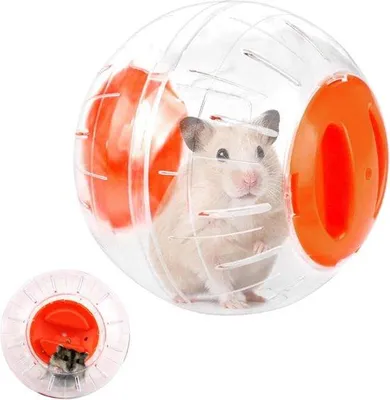 Immagine prodotto di Ruota per criceti in plastica per piccoli animali e topi - 12 cm - Arancione