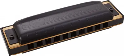 Produktbild von Hohner Pro Harp MS Richter-G Diatonisch Mundharmonika