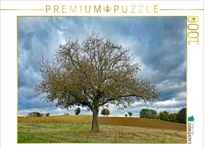Produktbild von CALVENDO Puzzle Oktober | 1000 Teile Lege-Größe 64x48cm Foto-Puzzle für glückliche Stunden
