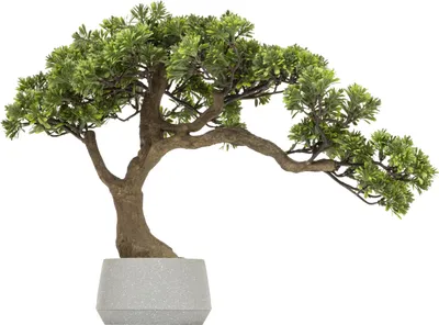 Zdjęcie produktu dla Sztuczne bonsai POLIN, wysokość 60 cm