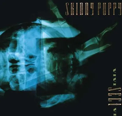Obrázek produktu pro Skinny Puppy - VIVIsectVI (Reissue) (LP)