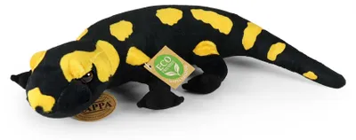 Produktbild von Kuscheltier Feuersalamander stehend 31 cm schwarz/gelb Plüschsalamander