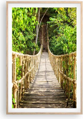 Produktbild von Gerahmtes Poster - Rahmen in heller Eiche - Brücke Seil Dschungel - 61x91,5 cm - Wand Bild - Wanddeko - Wandbilder - Wandposter - Bilderrahmen - Bilder - Kunstdruck - Wandbild - P2NPA61x91-4319