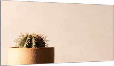 Produktbild von Herdabdeckplatte 90x52 Glaskeramikkochfeld Abdeckung Spritzschutz Glasplatte Deko Schneidebrett, Kaktus Beige