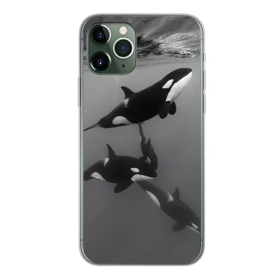 Produktbild von MuchoWow® Handyhülle Schutzhülle Hülle für iPhone 11 Pro Orca - Wasser - Schwarz - Weiß Silikon Softcase Handy Hülle - Handy