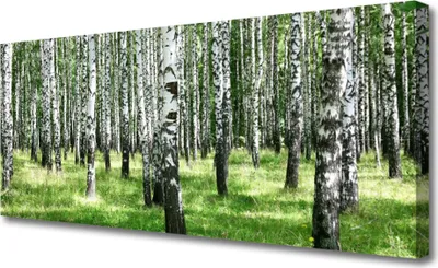 Produktbild von Tulup Leinwand-Bilder 125x50 Wandbild Canvas Kunstdruck Wald Natur