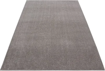 Produktbild von Ayyildiz Hali ATA802507000BEIGE, Teppich, Polypropylen (PP), Beige, Rechteck, 800 mm, 2500 mm