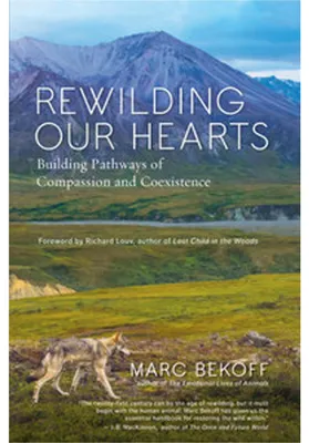 Produktbild von Rewilding Our Hearts