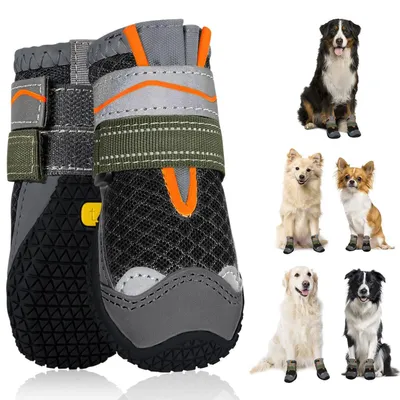 Produktbild von Wasserdichte Hundeschuhe mit reflektierender Gummisohle
