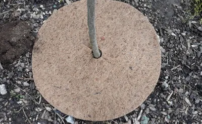Obrázok produktu pre KOKOSOVÝ kruh, ochrana pred burinou 800 g/m², 25 cm