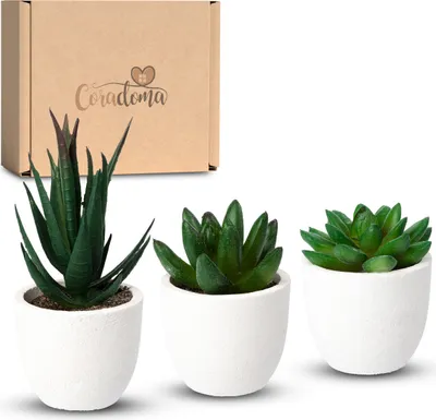 Produktbild von Set aus 3 Mini Kunstblumen in weißen Töpfen | Moderne Wohnzimmer- und Küchenaccessoires | Pflegeleichte Fettblumen und Kunstblumen