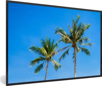 Produktbild von MuchoWow® Gerahmtes Poster Palme - Sommer - Tropisch 90x60 cm - Poster mit Schwarzem Bilderrahmen Wandposter Rahmen Foto Bilder - Fotorahmen - Foto-Plakat