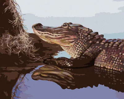 Produktbild von Zuty - Malen nach Zahlen - ALLIGATOR BEI EINEM BAUMSTAMM IM WASSER (D. RUSTY RUST), 40x50 cm, mit Keilrahmen (bereits gespannt)