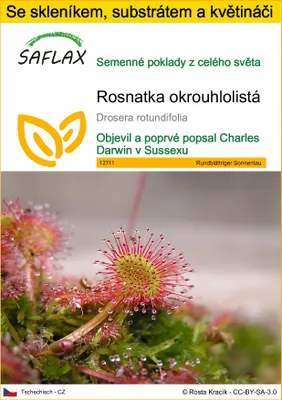 Obrázek produktu pro SAFLAX Kultivační sada - Rosnatka okrouhlolistá - Drosera rotundifolia - 50 Semena - S mini skleníkem, pěstebním substrátem a 2 květináči