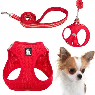 Produktbild von Truelove Mini Geschirr-Set mit Leine für kleine Hunde Rot