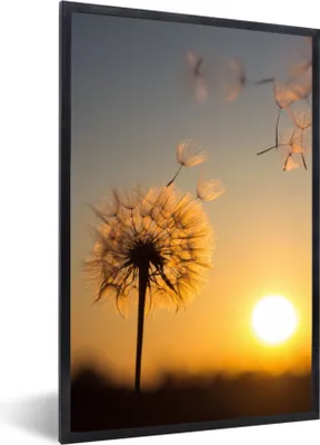 Produktbild von MuchoWow® Gerahmtes Poster Löwenzahn - Sonne - Sonnenuntergang 60x90 cm - Poster mit Schwarzem Bilderrahmen Wandposter Rahmen Foto Bilder - Kunst