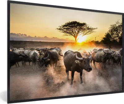 Produktbild von MuchoWow® Gerahmtes Poster Eine große Gruppe von Stieren bei Sonnenuntergang 60x40 cm - Poster mit Schwarzem Bilderrahmen Wandposter Rahmen Foto Bilder - Printing - Wanddeko Schlafzimmer