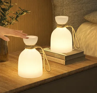 Produktbild von 2er Tischlampe kabellos mit Fernbedienung,Tragbare LED Nachtlicht,16Farben,Aufhängbar dimmbare Campinglampen,USB-Aufladung Nachttischlampe wasserdicht