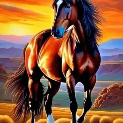 Immagine prodotto di Mosaico diamantato: Cavallo al tramonto, 30x40 cm, creativo
