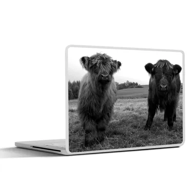 Produktbild von MuchoWow® Laptop Aufkleber Sticker Cover Schottische Highlander - Kühe - Natur - Grün - Gras 25x18 cm - Laptop-Deko