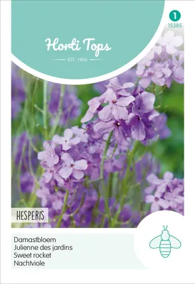 Produktbild von Nachtviole Violett | Blumensamen von Hortitops