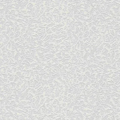 Zdjęcie produktu dla A.S. Création tapeta włókninowa Meistervlies Pro Protect 2, biała, do malowania, 10,05 m x 0,53 m, 643117, 6431-17