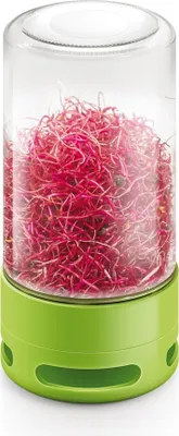 A clear shot of a sprouting jar filled with pink sprouts, set against a white background.