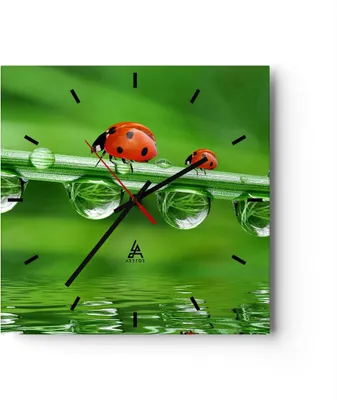Produktbild von Wanduhr - Quadrat - Glasuhr - Marienkäfer Wasser Grün Umwelt - 30x30cm - Schleichendes Uhrwerk - Lautlos - zum Aufhängen bereit - Dekoration Modern - Wanddekoration aus Glas - C3AC30x30-2661