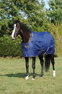 Produktbild von Bucas Outdoordecke 50g Irish Turnout Light Weidedecke Navy / Gold 170