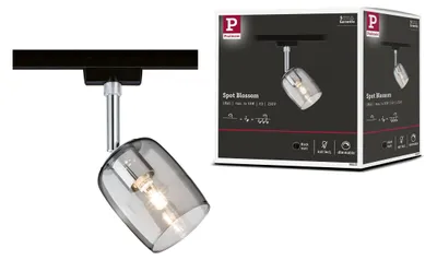 Produktbild von Paulmann URail Schienenspot Blossom Einzelspot