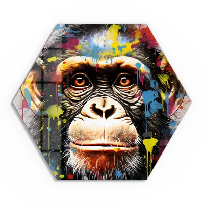 Produktbild von DEQOART Glasbild Echtglas 40x35 cm 'Affenblick im Farbmeer' Wandbild Bild modern Deko