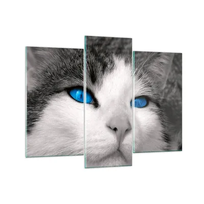 Produktbild von Bilder auf glas - Katze Tiere blaue Augen - 130x100cm - Glasbilder - Wandbilder - Kunstdruck - zum Aufhängen bereit - Wanddekoration aus Glas - Glas Bilder - Wandbild auf Glas - GCB130x100-1144