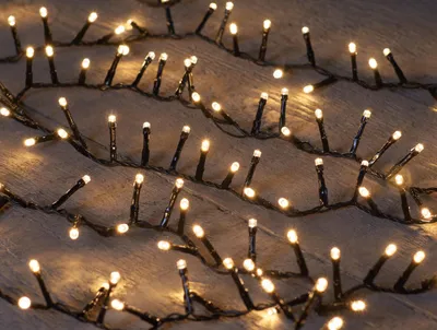 Produktbild von Lichterkette Warmweiß Dimmbar Zeitschaltuhr Efeu-Design Weihnachtsbeleuchtung